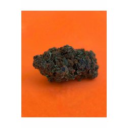 CBD_palice_orange_skunk_kvety.jpg