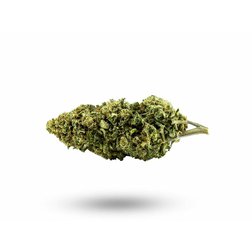 cbweed-cbd-palice.jpg