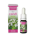 fin_candimis.png