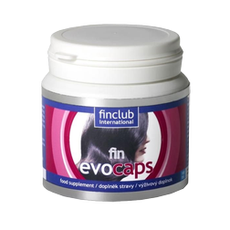fin_evocaps.png
