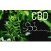 Čo je CBD?
