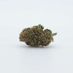 CBD_kvety_gorilla_glue_palice.jpg