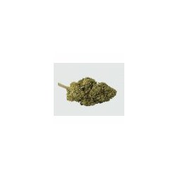 critical_mass_cbd_cbweed_palice.jpg