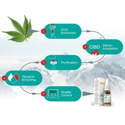 vyroba_cbd_cibdol.jpg