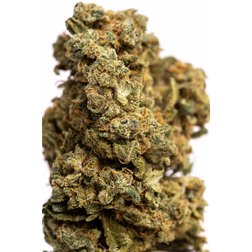 CBD_kvety_bubblegum_makro.jpeg