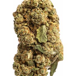 CBD_kvety_cannatonic_makro.jpeg