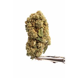 CBD_kvety_cannatonic_palice.jpeg