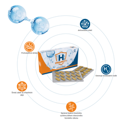 H2_Immunity_schema.png