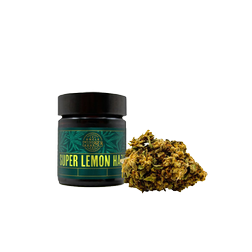 Uncle_haze_kvety_Super_lemon_haze_png.png