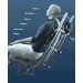 Shiatsu_4D_c25ccedc.jpg